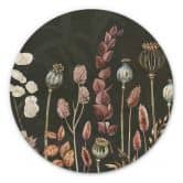 Alu-Dibond Sir Edward - Trockenblumen Oliv - Rund 