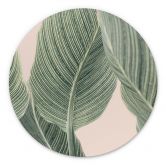 Alu-Dibond Calathea Pflanze - Sisi & Seb - Rund 