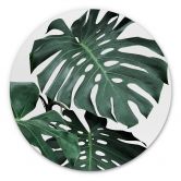 Alu-Dibond Sisi & Seb - Monstera - Rund 