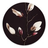 Wandbild Edle Magnolienblüten - Alu-Dibond Rund - Treechild 