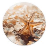 Wandbild Muscheln am sonnigen Strand - Treechild - Alu-Dibond Rund 
