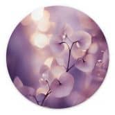 Wandbild Zarte Orchidee in Lila - Treechild - Alu-Dibond Rund 