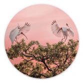 Rundes Wandbild Zhao - Vogelpärchen im Sonnenuntergang - Alu-Dibond 