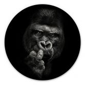 Alu-Dibond Meermann - Der Gorilla - Rund 