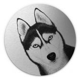 Alu-Dibond mit Silbereffekt Sibirischer Husky - Hundeporträt - Korenkova - Rund 