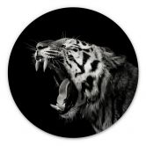 Alu-Dibond Meermann - Der Tiger - Rund 