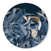 Glasbild Tropische Vögel im nächtlichen Wald - Haase - Rund 