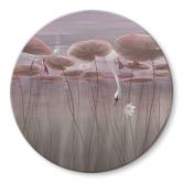Glasbild Lotusblumen mit Schwan im Wasser in Altrosa - Ms Tiff - Rund 