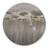 Glasschilderijen Lotusbloemen met zwaan in water in grijs - Ms Tiff - Rond 