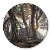 Glasbild Heiliger Kiefernwald - Ryu - Rund 