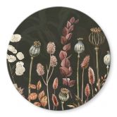 Glasbild Sir Edward - Trockenblumen Oliv - Rund 