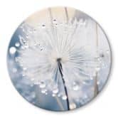 Glasschilderijen Fonkelende paardenbloemen - Treechild - Rond 