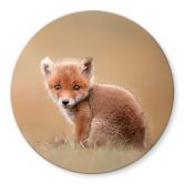 Glasbild van Duijn - Baby Fuchs 