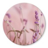 Glasbild Zarter Lavendel - Rund 
