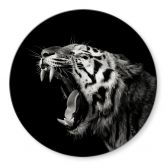 Glasbild Meermann - Der Tiger - Rund 