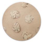 Holzbild 1X Studio - Am Strand - Rund 