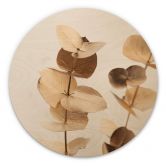 Holzbild 1X Studio - Goldener Eukalyptus - Rund 