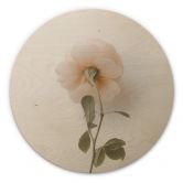 Holzbild Annie - Die Rose - Rund 