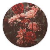 Tableau sur bois Annie - Fleurs d'été - Rond 