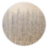 Holzbild Birkenwald im Winter - EMELIEmaria - Rund 