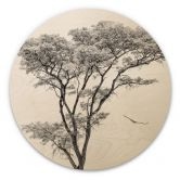 Holzbild Minimalistischer Baum in ruhiger Landschaft - Flour - Rund 