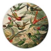 Holzbild Haeckel - Kolibris - Rund 