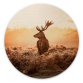 Holzbild Majestätischer Hirsch - Rund 