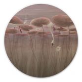 Holzbild Lotusblumen mit Schwan im Wasser in Altrosa - Ms Tiff - Rund 