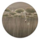 Holzbild Lotusblumen mit Schwan im Wasser in Grau - Ms Tiff - Rund 