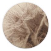 Holzbild Pusteblume Close Up - Rund 