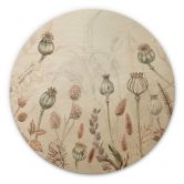 Billede af træ Sir Edward - Tørrede blomster hvid - Rund 
