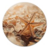 Holzbild Muscheln am sonnigen Strand - Treechild - Rund 