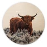 Væg cirkel træ van den Helm - Highlander 