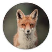 Wandcirkel Hout van Duijn - Fox Eyes 
