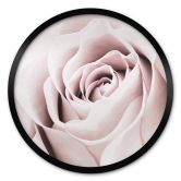 Poster 1X Studio - Edelrose - Rund 