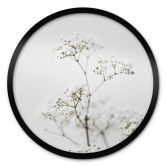 Plakat Annie - Wild Grass 
