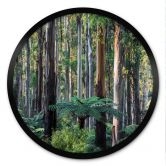 Plakat Eukalyptusskov i Yarra Ranges - Colombo - Runde 