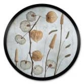 Poster Getrocknete Lampionblumen - Disher - Rund 