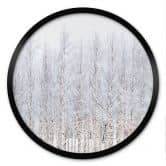Poster Birkenwald im Winter - EMELIEmaria - Rund 