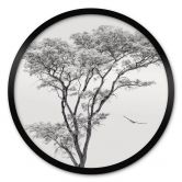 Poster Minimalistischer Baum in ruhiger Landschaft - Flour - Rund 