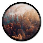 Poster Rund Herbstwald im Nebel - Ioricon - Rund 