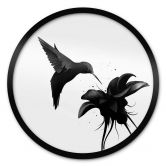 Poster Ireland - Chorum - Kolibri - Rund 