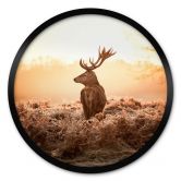 Poster Majestätischer Hirsch - Rund 