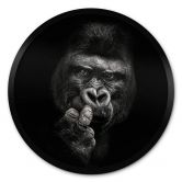 Plakat Meermann - Gorilla 