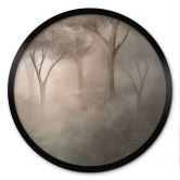 Poster Waldmagie im Morgennebel Beige - Ms Tiff - Rund 