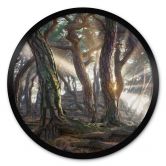 Poster Heiliger Kiefernwald - Ryu - Rund 