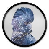 Plakat Sisi & Seb - Blue Cockatoo 