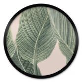 Poster Calathea Pflanze - Sisi & Seb - Rund 