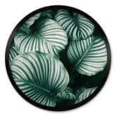 Poster Rond - Urban Jungle 