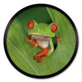 Poster Laubfrosch im Regenwald - van Duijn - Rund  